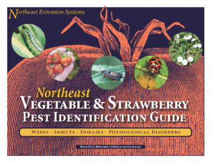 Picture of NE Vegetable & Strawberry Pest Identification Guide - Please click here for important shipping and handling details.  