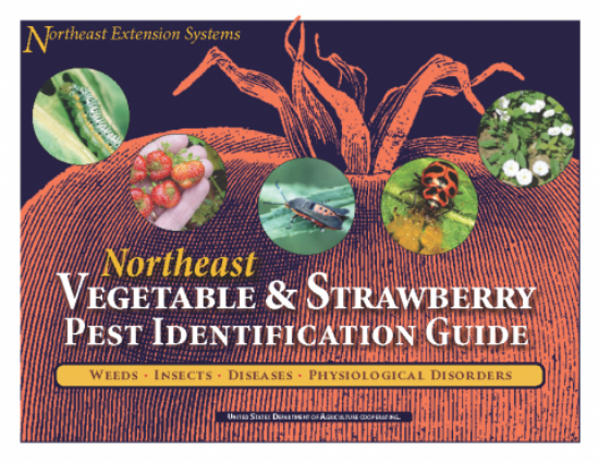 Picture of NE Vegetable & Strawberry Pest Identification Guide - Please click here for important shipping and handling details.  