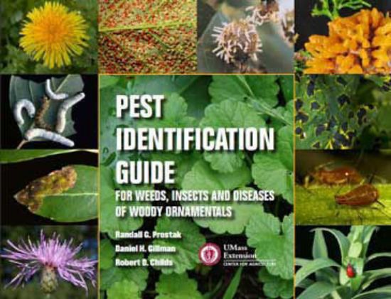 Picture of Pest Identification Guide for Weeds, Insects and Diseases of Woody Ornamentals  Please Note: THIS GUIDE CANNOT BE SHIPPED UPS GROUND