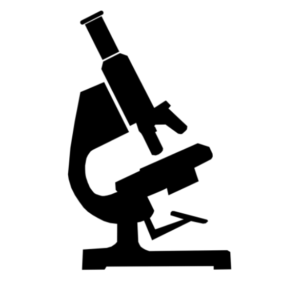Picture of Tomography Scan